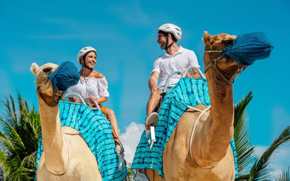 Combo Adventure Parasailing and Camel Caravan in Maroma