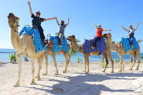 Combo Aventura: Parasailing y Caravana de Camellos en Maroma