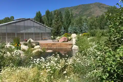 Excursão a pé panorâmica fora dos roteiros mais conhecidos de Aspen