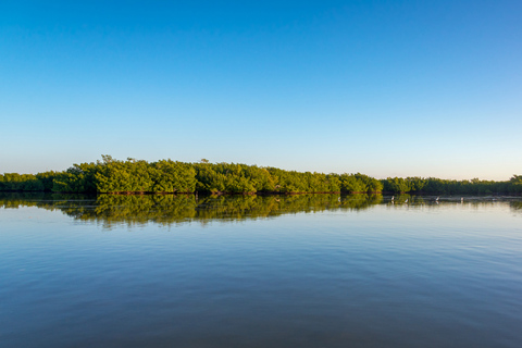 COLORADAS EN RÍO LAGARTOS TOUR