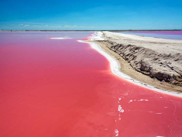 Tour Coloradas Y Rio Lagartos Getyourguide