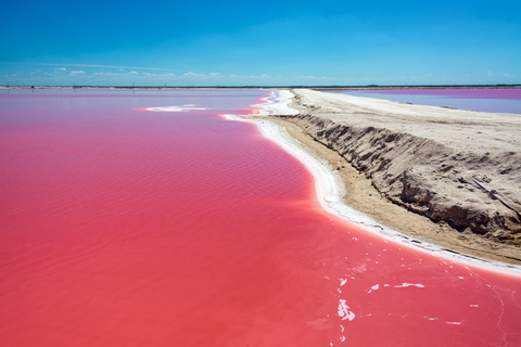 From Cancun: Las Coloradas and Río Lagartos Day Tour