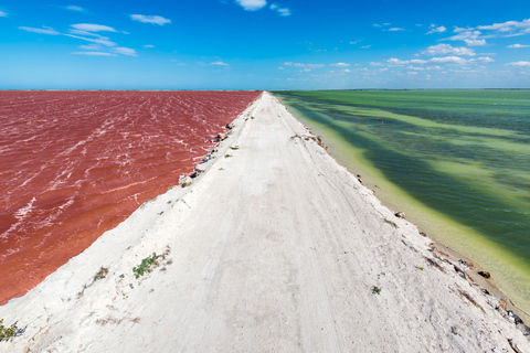 Da Cancun: Tour di un giorno a Las Coloradas e Río LagartosDa Cancun: tour di un giorno a Las Coloradas e Río Lagartos