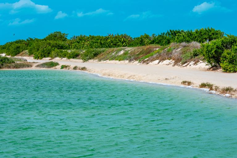 COLORADAS EN RÍO LAGARTOS TOUR