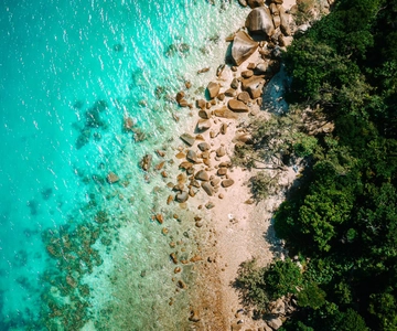 Cairns: Fitzroy Island Ferry with Snorkel/Picnic/Boat Option