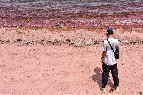 Hong Kong: Geopark Flaming Red Coast Hopping Tour