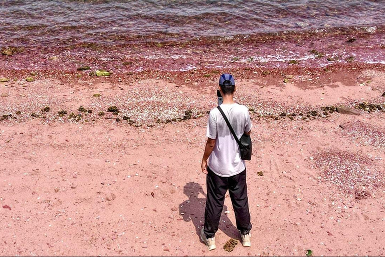 Hong Kong: Geopark Flaming Red Coast Hopping Tour