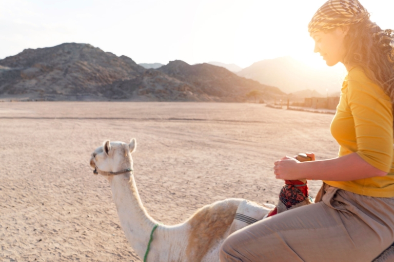 Agadir: kameelrit op de Flamingo-rivier met barbecuedinerKameelrit met barbecuediner