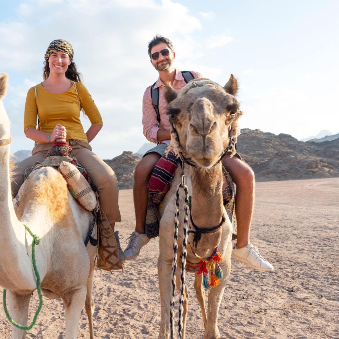 Agadir : Promenade à dos de chameau sur la rivière Flamingo et dîner barbecue en option