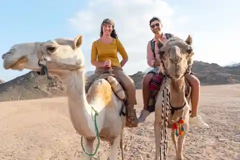 Agadir: Flamingo River Camel Ride with Optional BBQ Dinner