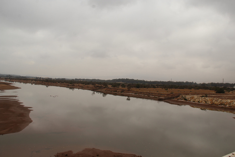 Depuis Agadir ou Taghazout : Promenade à dos de chameau sur le Souss avec transfertAu départ d'Agadir ou de Taghazout : Promenade à dos de chameau et visite de la rivière Flamingo