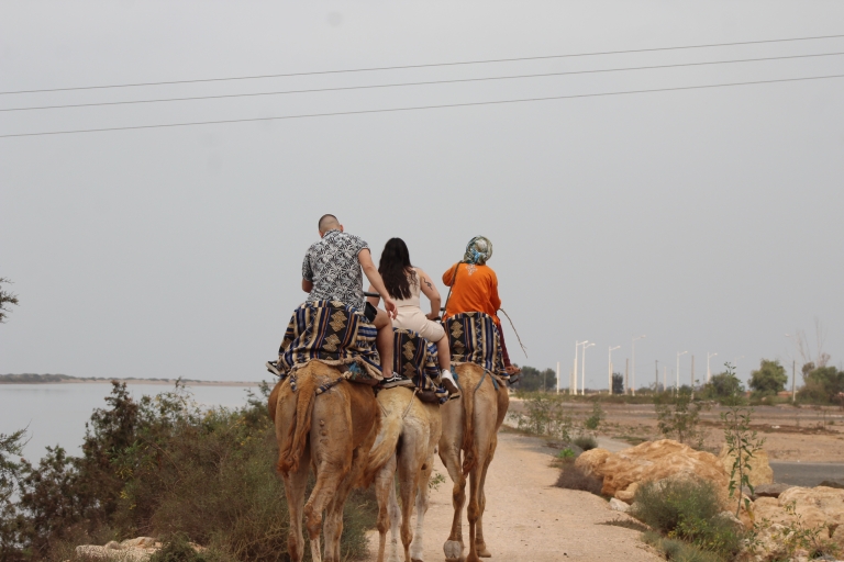Depuis Agadir ou Taghazout : Promenade à dos de chameau sur le Souss avec transfertAu départ d'Agadir ou de Taghazout : Promenade à dos de chameau et visite de la rivière Flamingo