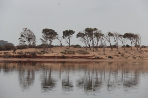 Von Agadir oder Taghazout aus: Kamelritt auf dem Souss-Fluss mit TransferVon Agadir oder Taghazout aus: Kamelritt und Flamingo-Fluss-Tour