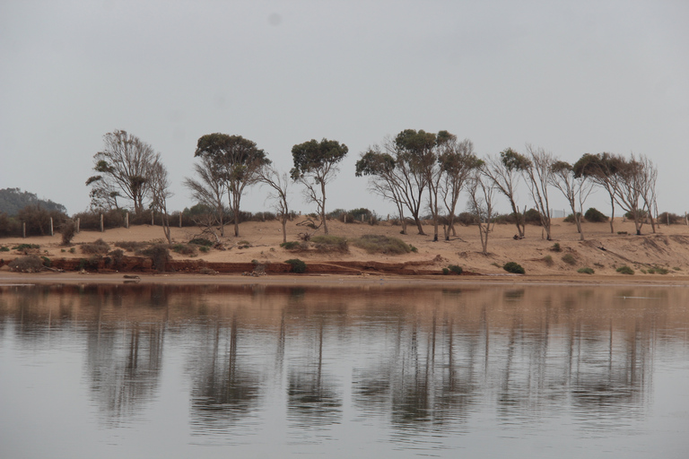 Depuis Agadir ou Taghazout : Promenade à dos de chameau sur le Souss avec transfertAu départ d'Agadir ou de Taghazout : Promenade à dos de chameau et visite de la rivière Flamingo