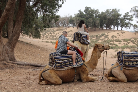 Depuis Agadir ou Taghazout : Promenade à dos de chameau sur le Souss avec transfertAu départ d'Agadir ou de Taghazout : Promenade à dos de chameau et visite de la rivière Flamingo