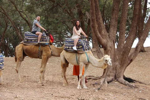 From Agadir or Taghazout: Camel Ride Tour & Flamingos Watch