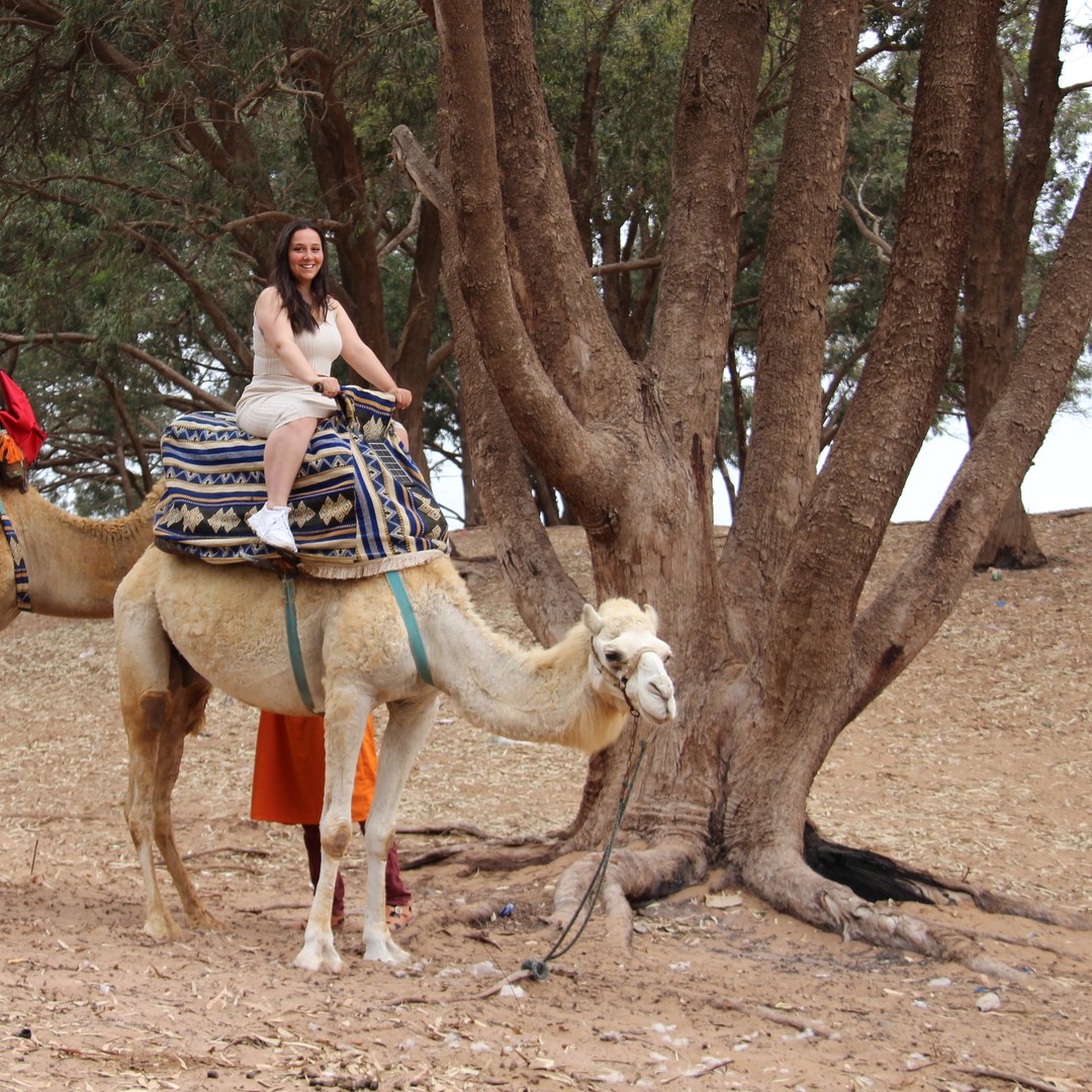 Depuis Agadir ou Taghazout : balade à dos de chameau et excursion berbère
