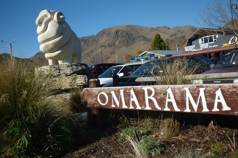 Circuit de Queenstown à Mt Cook (aller simple)