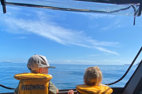 Paihia : Tour en bateau à fond de verre vers le trou dans le rocherPaihia: excursion en bateau à fond de verre jusqu'au trou dans le rocher