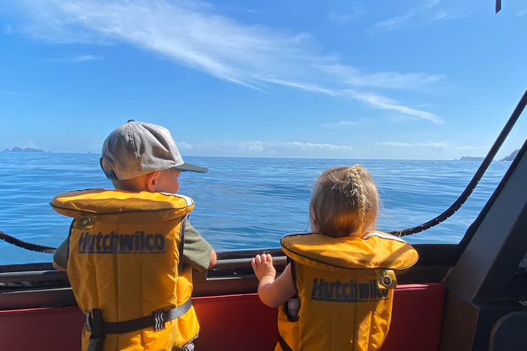 Paihia : Tour en bateau à fond de verre vers le trou dans le rocherPaihia: excursion en bateau à fond de verre jusqu'au trou dans le rocher