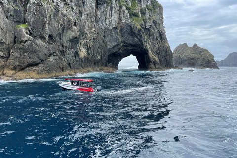 Paihia: Rondvaart met glazen bodem naar het gat in de rotsPaihia: boottocht met glazen bodem naar het gat in de rots