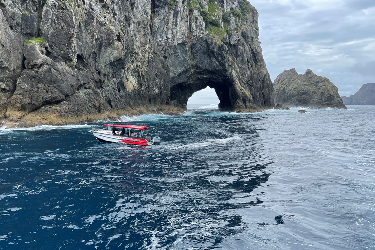 Paihia : Tour en bateau à fond de verre vers le trou dans le rocherPaihia: excursion en bateau à fond de verre jusqu'au trou dans le rocher