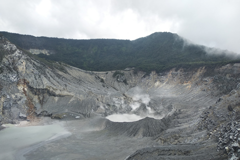 Bandung : Volcan, source thermale, usine de thé et café Luwak