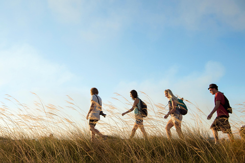 From Darwin: 3-Day Kakadu & Litchfield 4WD Camping Tour Bush Single Swag (sleeps 1)