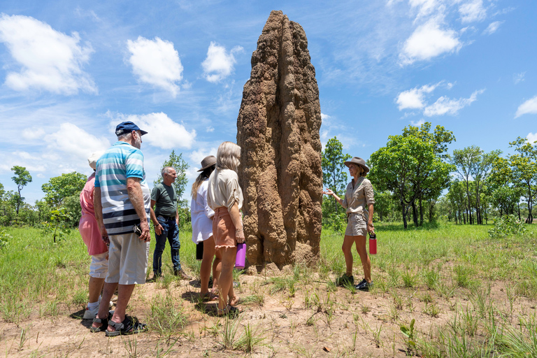 From Darwin: 3-Day Kakadu & Litchfield 4WD Camping Tour Bush Single Swag (sleeps 1)
