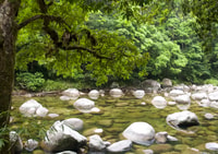 Cairns, Daintree, Mossman Gorge & Cape Tribulation Day Trip - Housity