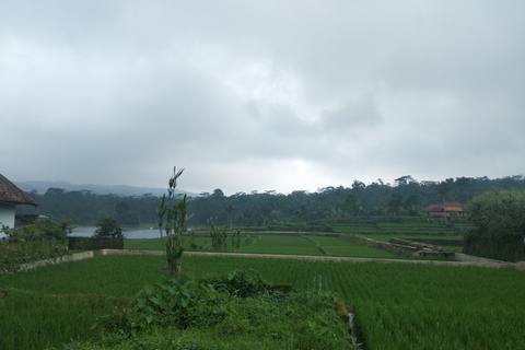 Jacarta: Excursão ao vulcão, fontes termais, chá, campos de arroz e caféDe Jacarta: Vulcão, fontes termais, fábrica de chá e passeio de Luwak