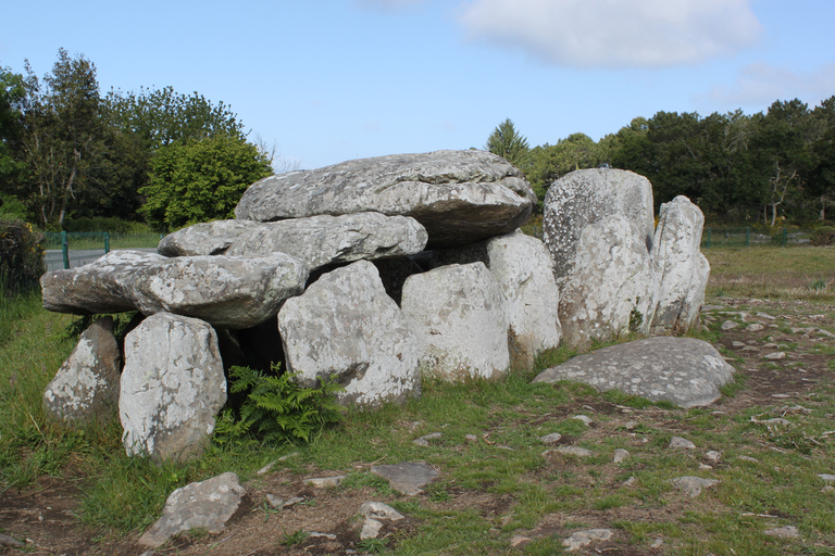 Carnac: Carnac Stones 40-Minute Audio-Guided Bus Tour Carnac Menhirs Tour 40 min