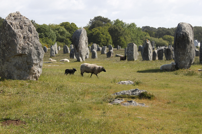 Carnac: Carnac Stones 40-Minute Audio-Guided Bus Tour Carnac Menhirs Tour 40 min