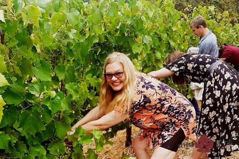 Cape Town: Winelands Tour & Bottle Your Own Wine Experience
