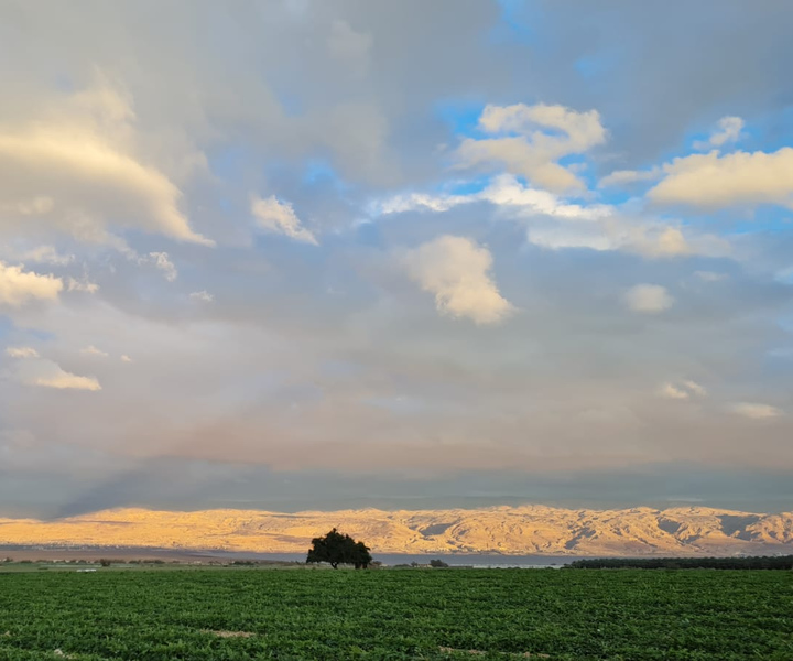 Dead Sea Region: Life on the Kibbutz Agricultural Tour