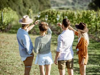 Taormina: Guided Etna Wine Tasting Half-Day Tour