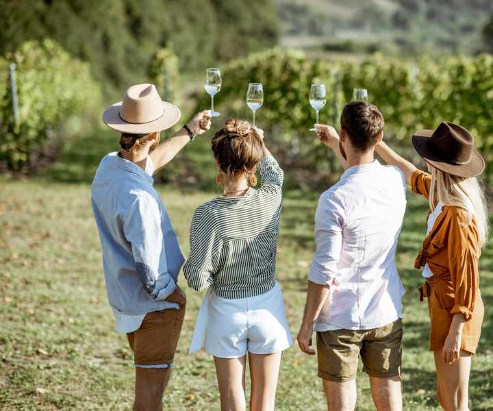 Taormina: Guided Etna Wine Tasting Half-Day Tour