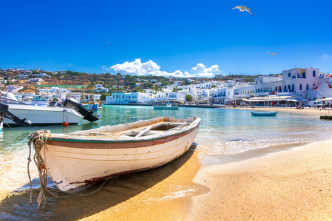 Mykonos: Delos en Rhenia Island Cruise met zwemmen en Griekse maaltijd