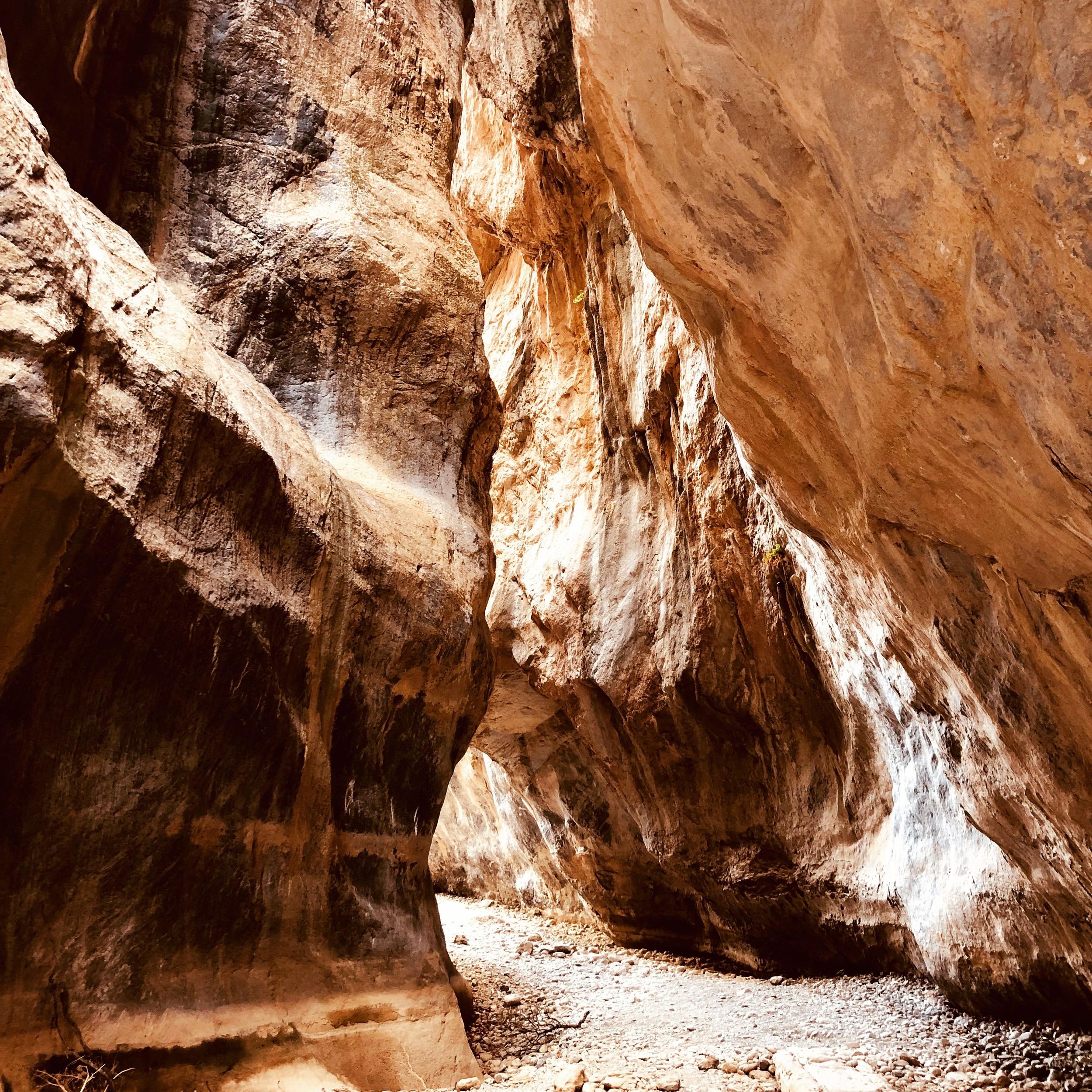 Kreta: Sarakina-Schlucht, Wälder und Südküsten-Safari