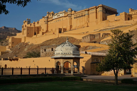 From Delhi: Amer Fort &amp; Jaipur City Tour By Superfast TrainTransport &amp; Guide Services only