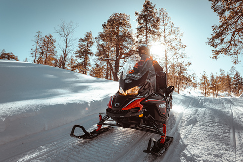 Levi: Gemakkelijke sneeuwscootersafari in de natuurGemakkelijke sneeuwscootersafari in de natuur