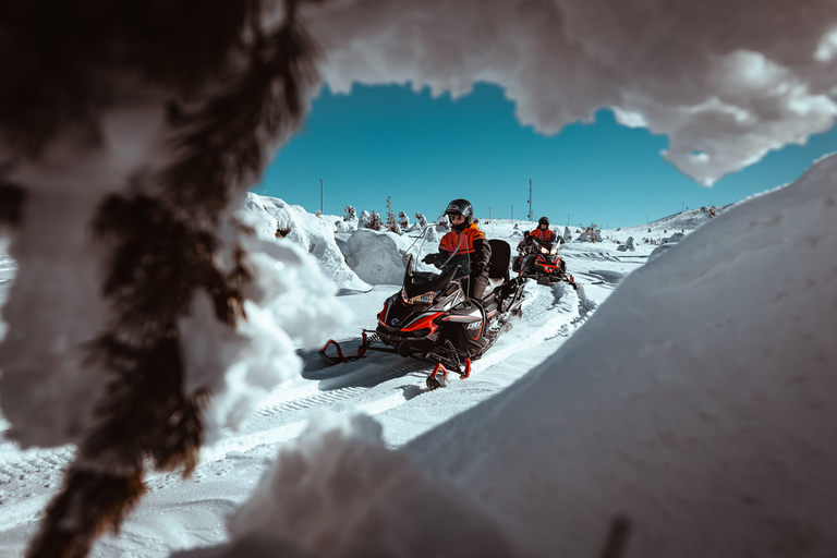 Levi: Gemakkelijke sneeuwscootersafari in de natuurGemakkelijke sneeuwscootersafari in de natuur