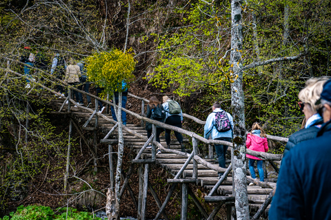 Desde Split/Trogir: Visita guiada en grupo a los Lagos de PlitviceDesde Split: Excursión en Grupo al Parque Nacional de los Lagos de Plitvice