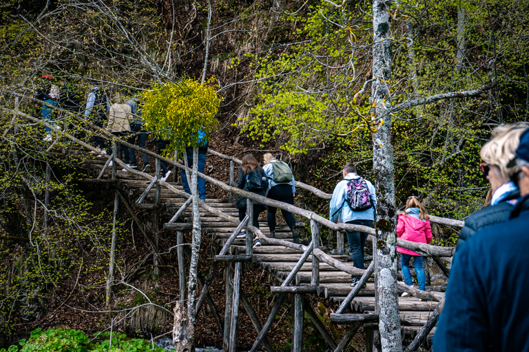 Desde Split/Trogir: Visita guiada en grupo a los Lagos de PlitviceDesde Split: Excursión en Grupo al Parque Nacional de los Lagos de Plitvice