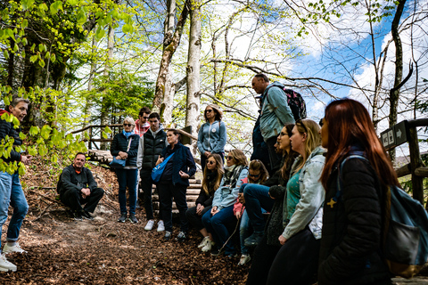 From Split/Trogir: Plitvice Lakes Guided Group Tour From Split: Plitvice Lakes National Park Group Tour