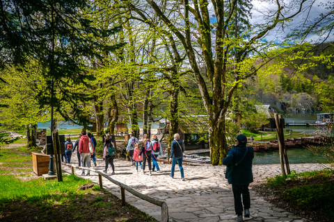 De Split/Trogir: Tour guiado em grupo pelos Lagos PlitviceDe Trogir: excursão em grupo ao Parque Nacional dos Lagos de Plitvice