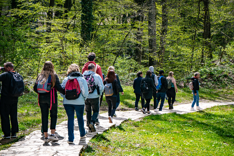 De Split/Trogir: Tour guiado em grupo pelos Lagos PlitviceDe Trogir: excursão em grupo ao Parque Nacional dos Lagos de Plitvice