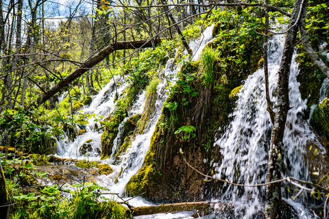 Au départ de Split/Trogir : Visite guidée des lacs de Plitvice en groupeAu départ de Split : Visite de groupe du parc national des lacs de Plitvice