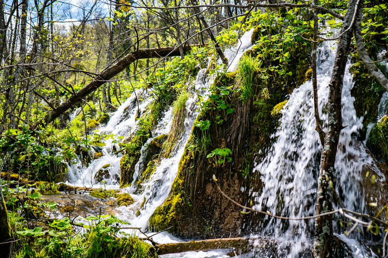 From Split/Trogir: Plitvice Lakes Guided Group Tour From Split: Plitvice Lakes National Park Group Tour