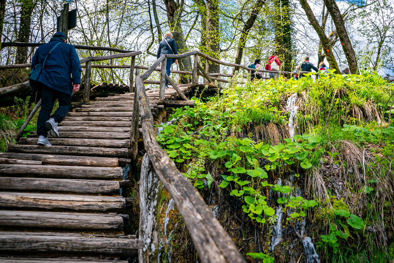 De Split/Trogir: Tour guiado em grupo pelos Lagos PlitviceDe Trogir: excursão em grupo ao Parque Nacional dos Lagos de Plitvice